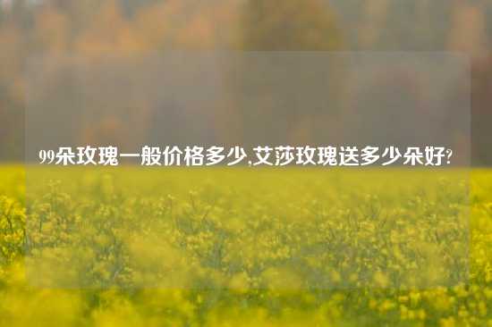 99朵玫瑰一般价格多少,艾莎玫瑰送多少朵好?