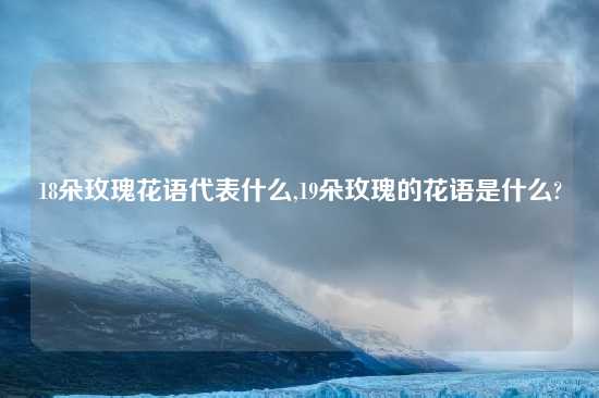 18朵玫瑰花语代表什么,19朵玫瑰的花语是什么?