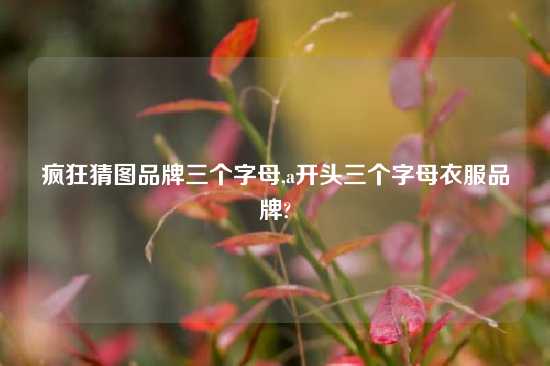 疯狂猜图品牌三个字母,a开头三个字母衣服品牌?