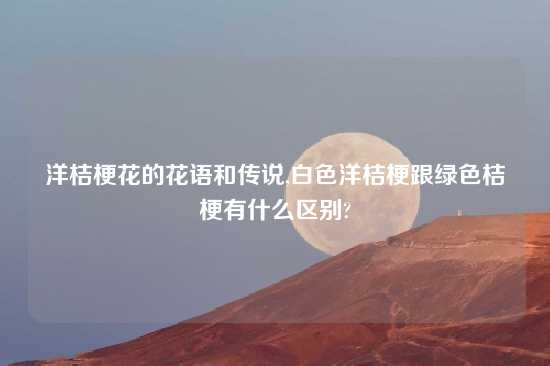 洋桔梗花的花语和传说,白色洋桔梗跟绿色桔梗有什么区别?