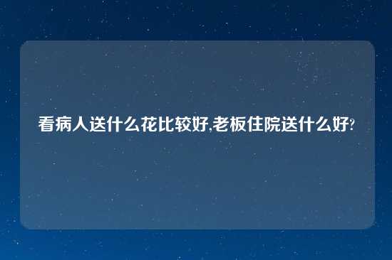 看病人送什么花比较好,老板住院送什么好?