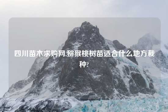 四川苗木求购网,猕猴桃树苗适合什么地方栽种?