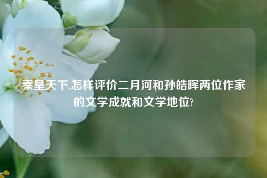秦皇天下,怎样评价二月河和孙皓晖两位作家的文学成就和文学地位?