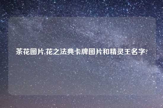 茶花图片,花之法典卡牌图片和精灵王名字?
