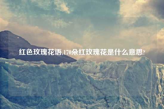 红色玫瑰花语,170朵红玫瑰花是什么意思?