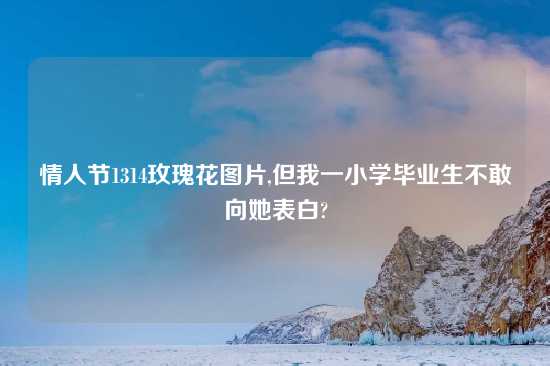 情人节1314玫瑰花图片,但我一小学毕业生不敢向她表白?