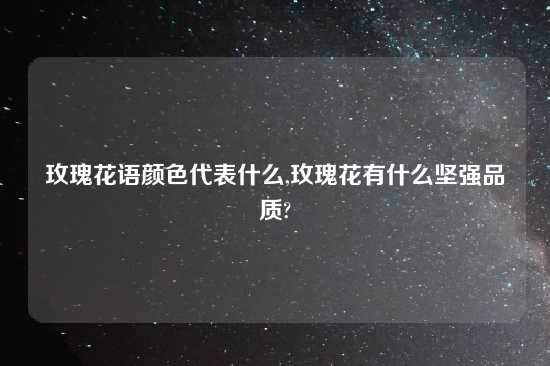 玫瑰花语颜色代表什么,玫瑰花有什么坚强品质?