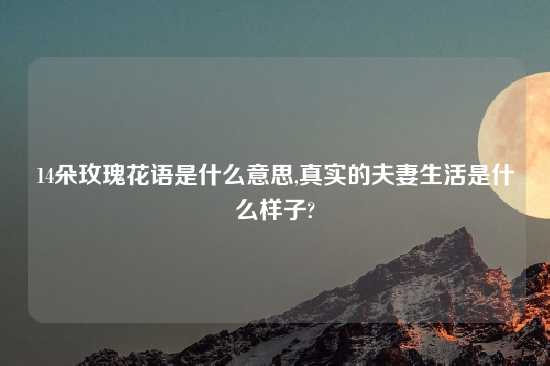 14朵玫瑰花语是什么意思,真实的夫妻生活是什么样子?