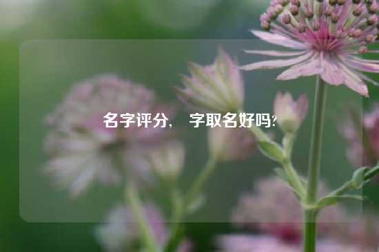 名字评分,珅字取名好吗?