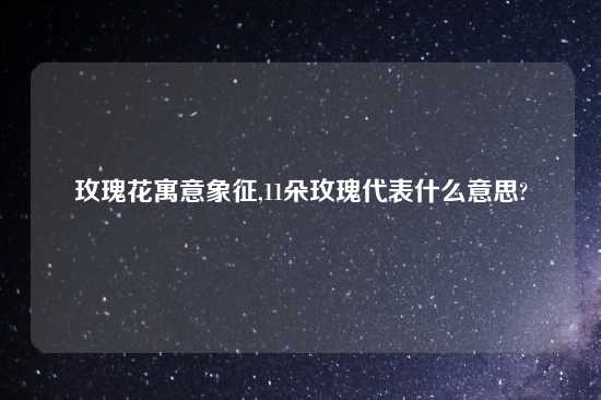 玫瑰花寓意象征,11朵玫瑰代表什么意思?