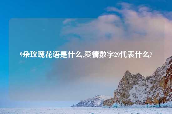 9朵玫瑰花语是什么,爱情数字29代表什么?