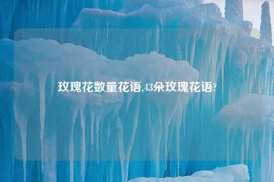 玫瑰花数量花语,43朵玫瑰花语?