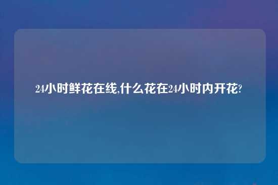 24小时鲜花在线,什么花在24小时内开花?