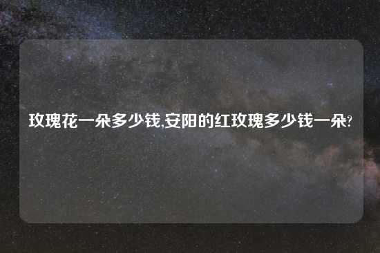 玫瑰花一朵多少钱,安阳的红玫瑰多少钱一朵?