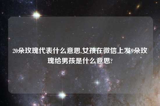 20朵玫瑰代表什么意思,女孩在微信上发9朵玫瑰给男孩是什么意思?
