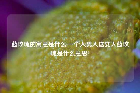 蓝玫瑰的寓意是什么,一个人男人送女人蓝玫瑰是什么意思?