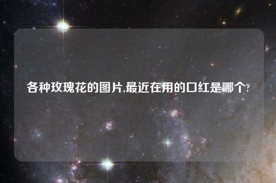 各种玫瑰花的图片,最近在用的口红是哪个?