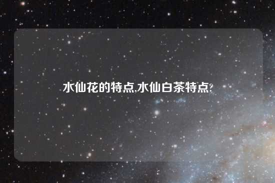 水仙花的特点,水仙白茶特点?