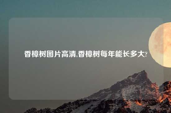 香樟树图片高清,香樟树每年能长多大?