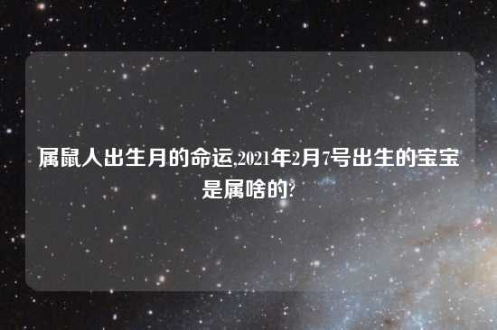 属鼠人出生月的命运,2021年2月7号出生的宝宝是属啥的?