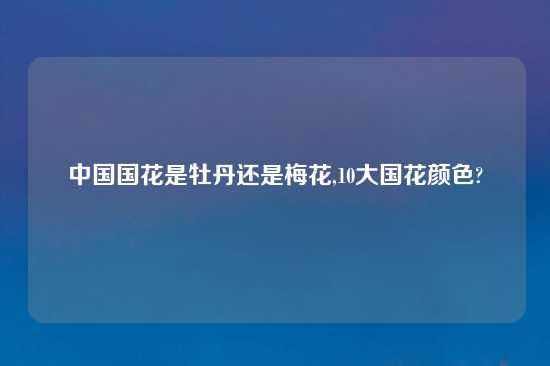 中国国花是牡丹还是梅花,10大国花颜色?