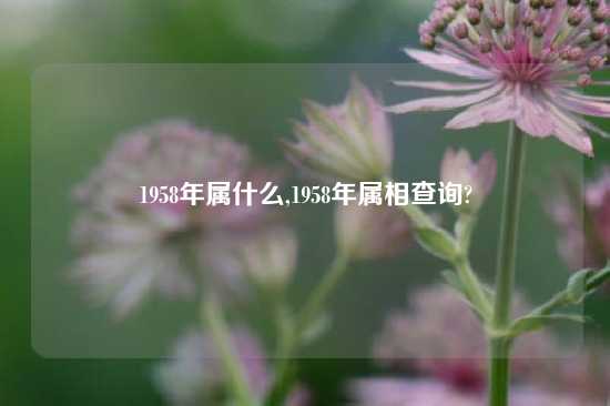 1958年属什么,1958年属相查询?