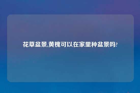 花草盆景,黄槐可以在家里种盆景吗?