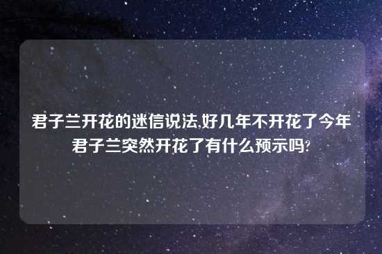 君子兰开花的迷信说法,好几年不开花了今年君子兰突然开花了有什么预示吗?