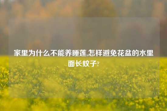 家里为什么不能养睡莲,怎样避免花盆的水里面长蚊子?