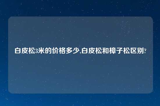 白皮松3米的价格多少,白皮松和樟子松区别?