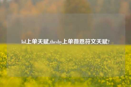 lol上单天赋,theshy上单薇恩符文天赋?
