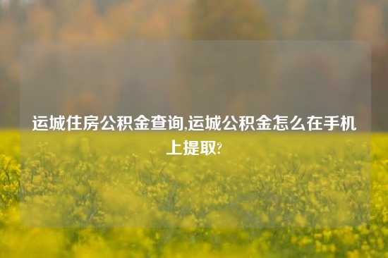 运城住房公积金查询,运城公积金怎么在手机上提取?