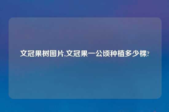文冠果树图片,文冠果一公顷种植多少棵?