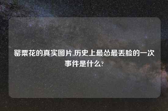 罂粟花的真实图片,历史上最怂最丢脸的一次事件是什么?