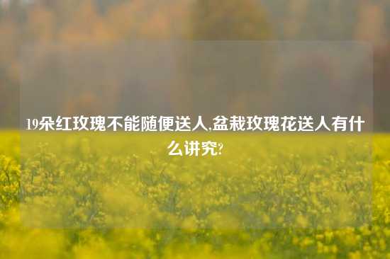 19朵红玫瑰不能随便送人,盆栽玫瑰花送人有什么讲究?