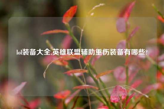 lol装备大全,英雄联盟辅助重伤装备有哪些?