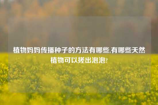 植物妈妈传播种子的方法有哪些,有哪些天然植物可以搓出泡泡?
