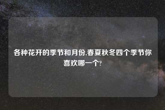 各种花开的季节和月份,春夏秋冬四个季节你喜欢哪一个?