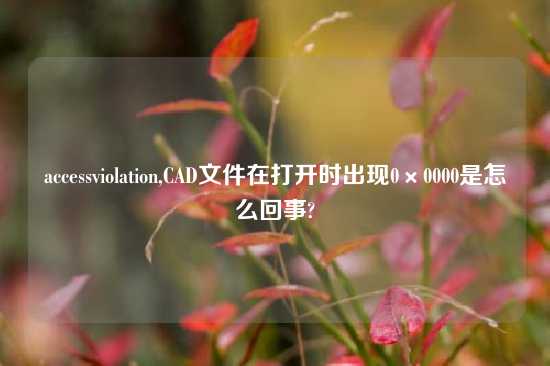 accessviolation,CAD文件在打开时出现0×0000是怎么回事?