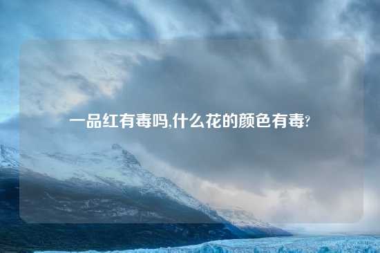 一品红有毒吗,什么花的颜色有毒?