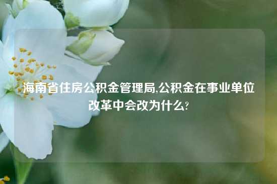 海南省住房公积金管理局,公积金在事业单位改革中会改为什么?