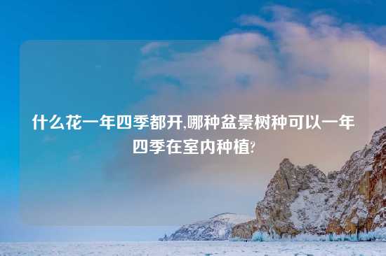 什么花一年四季都开,哪种盆景树种可以一年四季在室内种植?