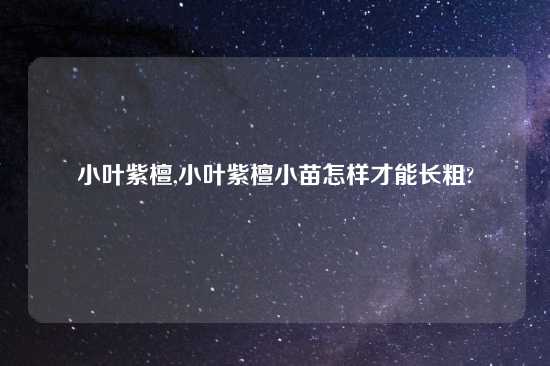 小叶紫檀,小叶紫檀小苗怎样才能长粗?