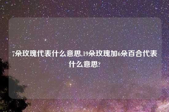 7朵玫瑰代表什么意思,19朵玫瑰加6朵百合代表什么意思?