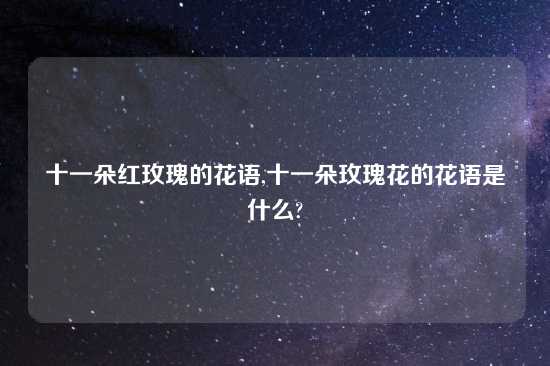 十一朵红玫瑰的花语,十一朵玫瑰花的花语是什么?