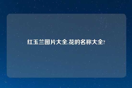 红玉兰图片大全,花的名称大全?