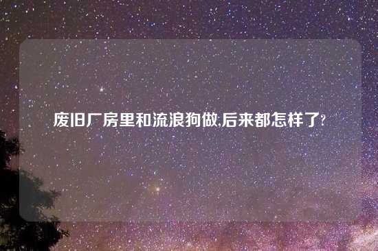 废旧厂房里和流浪狗做,后来都怎样了?