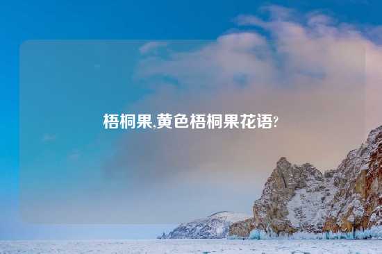 梧桐果,黄色梧桐果花语?