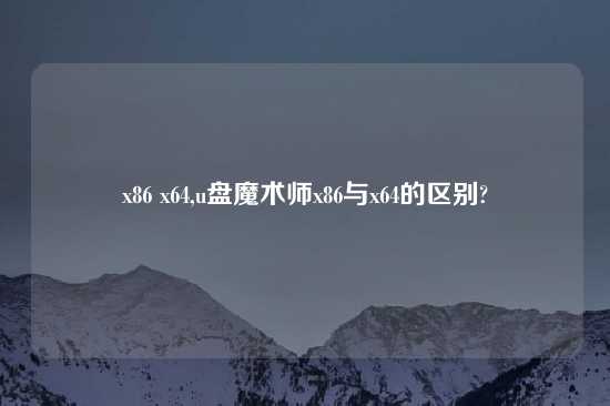 x86 x64,u盘魔术师x86与x64的区别?