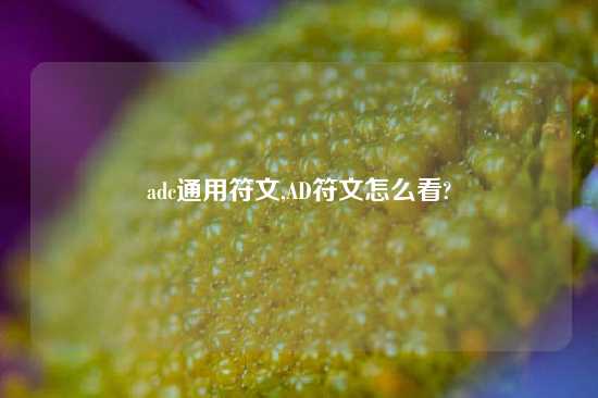 adc通用符文,AD符文怎么看?